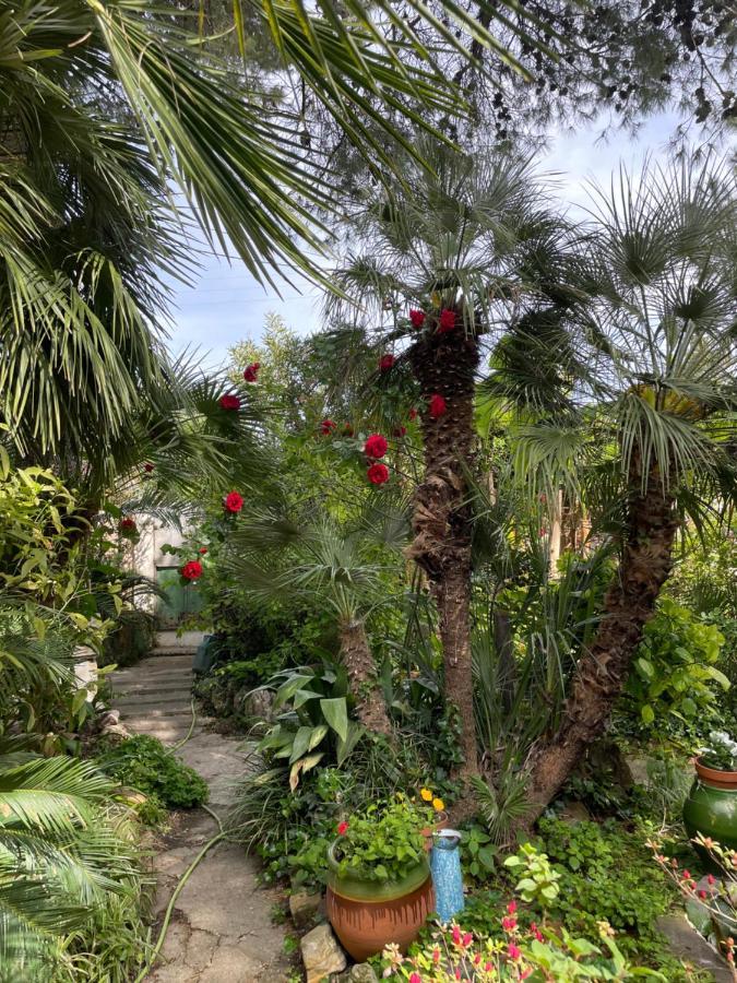 Villa Leona Clim Park Боллен Экстерьер фото